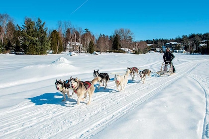 Circuit Plaisirs d'hiver au Québec - TUI