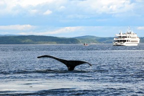 Tadoussac