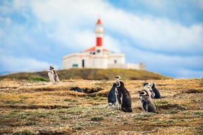 île Magdalena