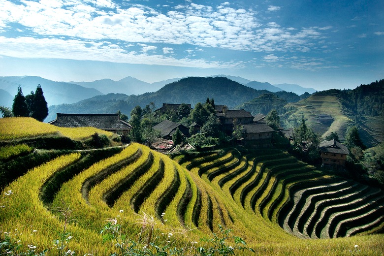 Rizières en terrasses de Longji