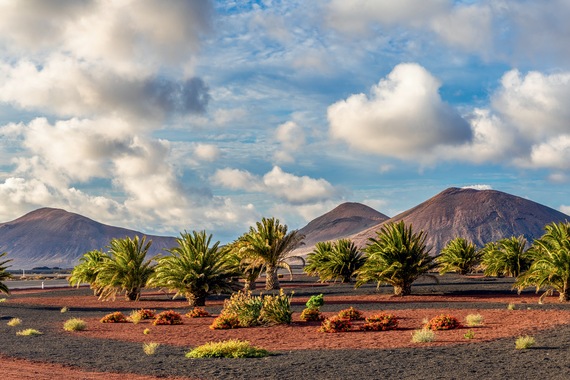 Circuit en étoile à Lanzarote au Club Lookéa Sentido Aequora Lanzarote Suites- TUI