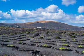 Lanzarote