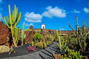 Jardin des Cactus
