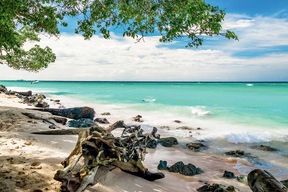 Journée plage