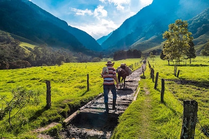 Circuit Le diamant vert - TUI