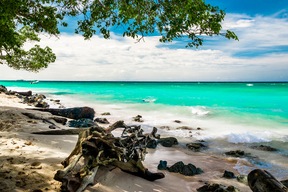 Plage de Baru