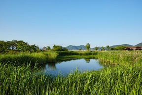 Baie écologique de Suncheon