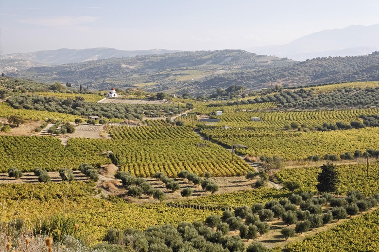 Vignoble de Lyrarakis