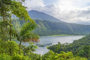 Arenal