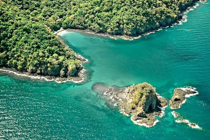 Road Trip L'Éden vert - TUI