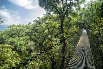 Autotour Essentiel - Élégance tropicale du Costa Rica - TUI