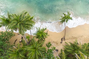 Puerto Viejo