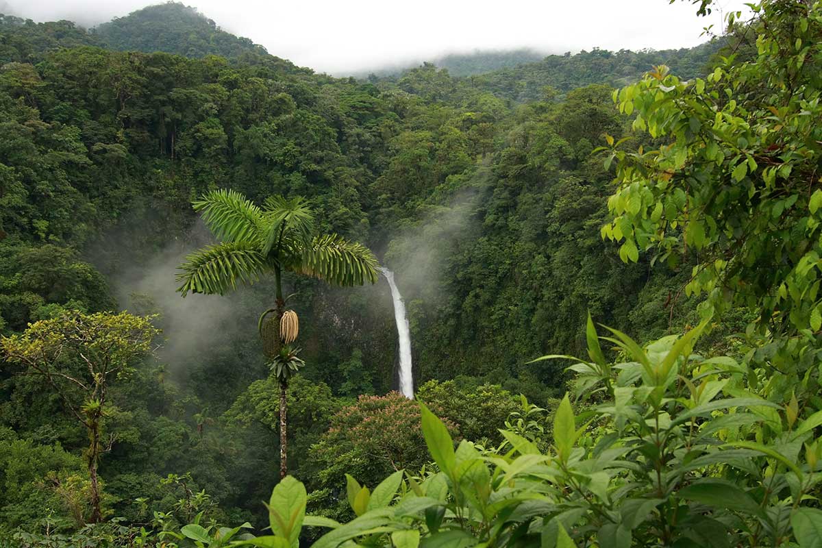 Image 6 du séjour Autotour Essentiel Zénitude au Costa Rica à San josé, Costa Rica