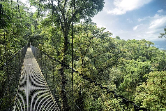 Circuit Découverte et aventure au Costa Rica- TUI