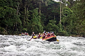 Sarapiqui