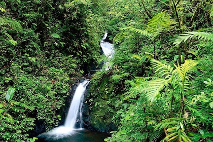 Circuit Merveilles du Costa Rica du Nord au Sud - TUI