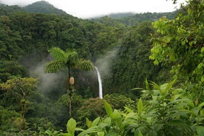 Parc National du volcan Arenal