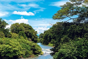 Circuit Costa Rica, la nature à l'état pur - TUI