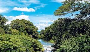Rivière Corobicí