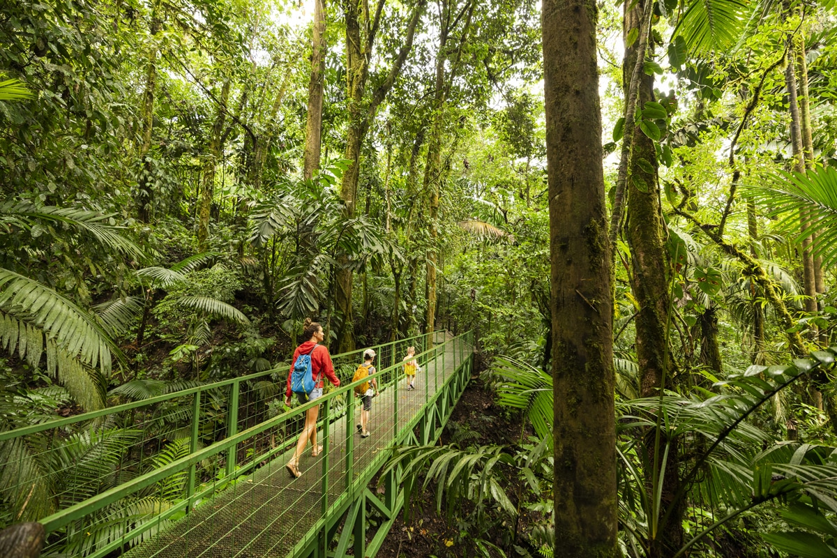 Image 6 du séjour Circuit Grand Voyage - Nature et villes coloniales à San josé, Costa Rica