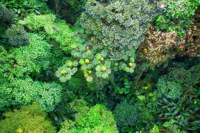 Parc National de Rincón de la Vieja