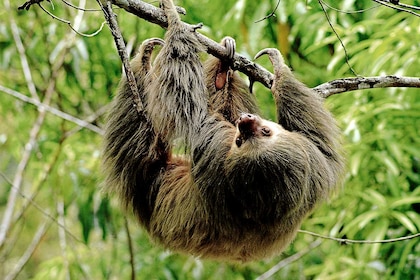 Circuit Pura Vida - TUI