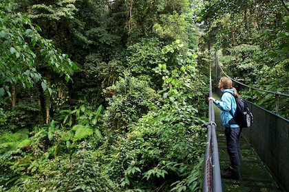 Circuit Costa Rica Autrement - TUI