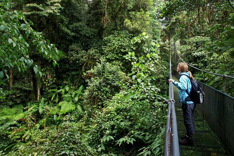 Pont suspendu Arenal