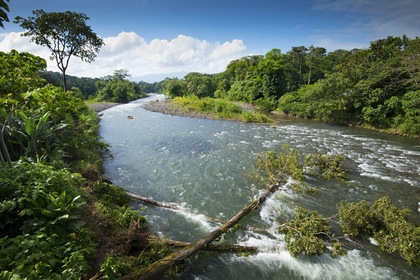Circuit en étoile : Entre volcans et forêts - TUI