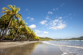 Au Cœur du Costa Rica Sauvage