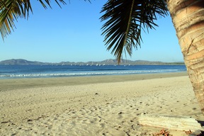 Tamarindo