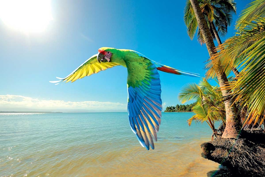 Circuit Costa Rica Nature - TUI