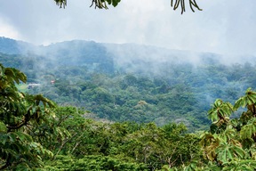 Forêt Monteverde