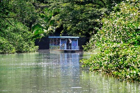 Parc national de Tortuguero