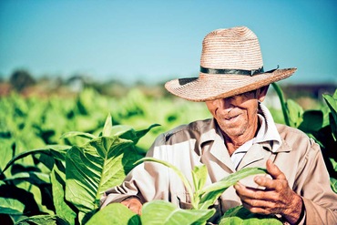 Circuit Découverte et Détente Parfums de Cuba - TUI