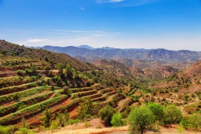 Montagneux du Troodos