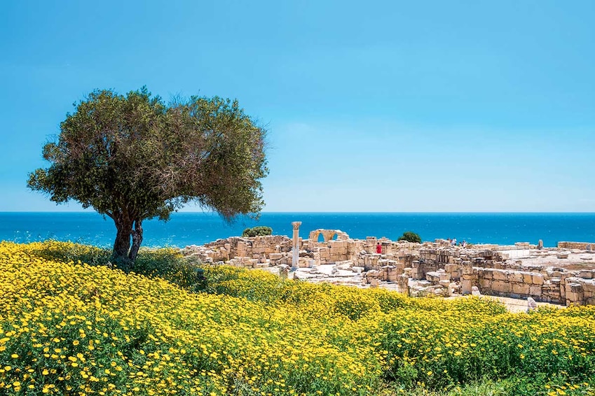 Circuit Découverte de Chypre - Départs hiver - TUI