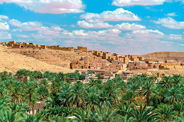 Circuit La boucle des oasis : les jardins de la Saoura