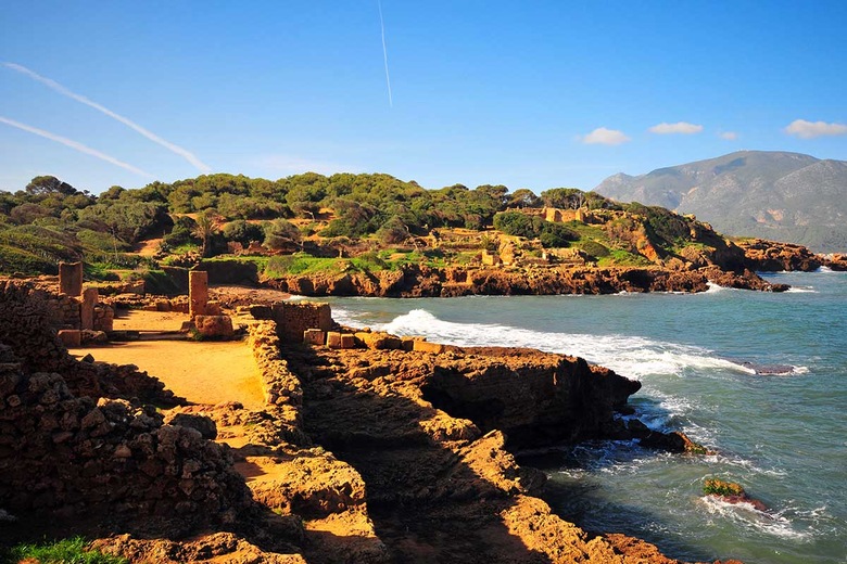 Tipaza