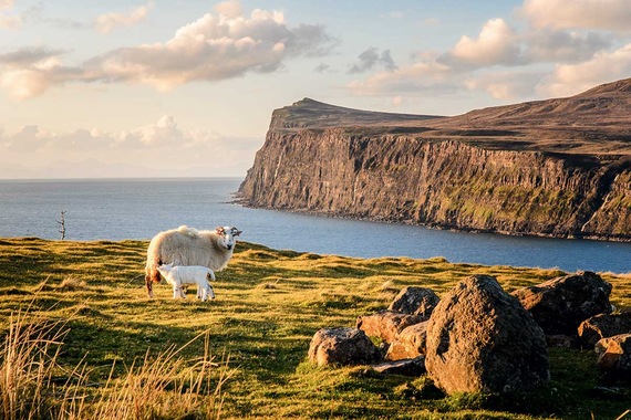 Circuit Îles et Highlands d'Écosse- TUI
