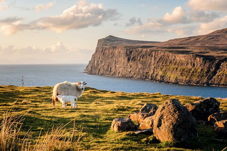 Circuit Îles et Highlands d'Écosse
