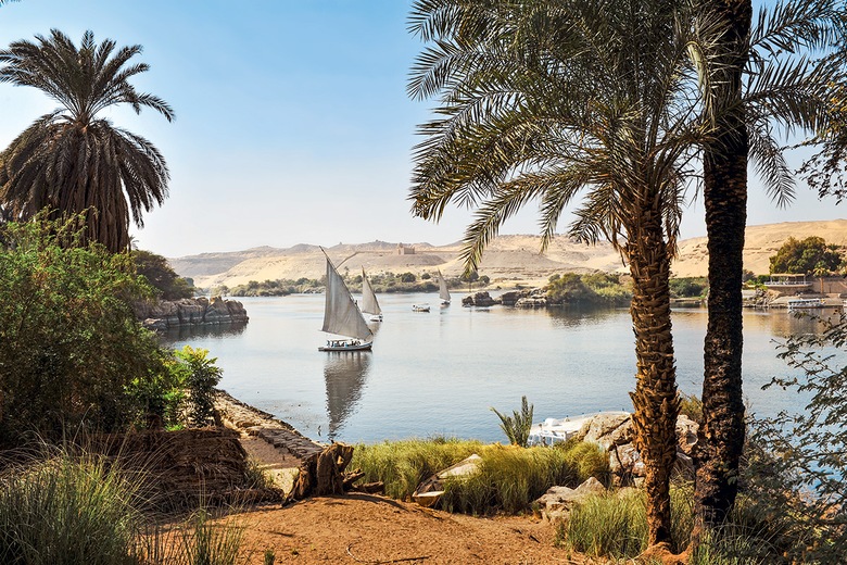 Elephantine du Caire
