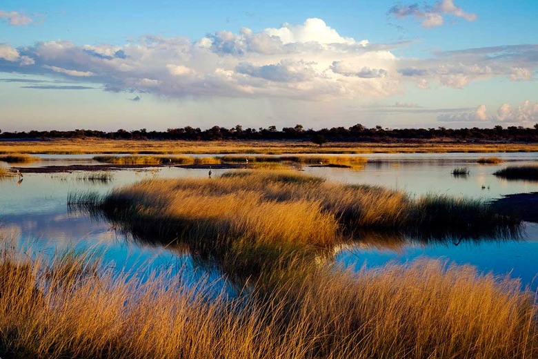 Parc National d'Etosha