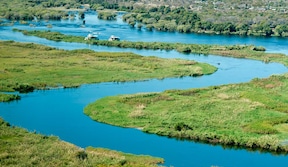 Rivière Chobe