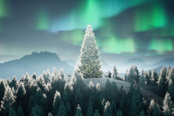 Circuit évènement : Réveillon boréal- TUI