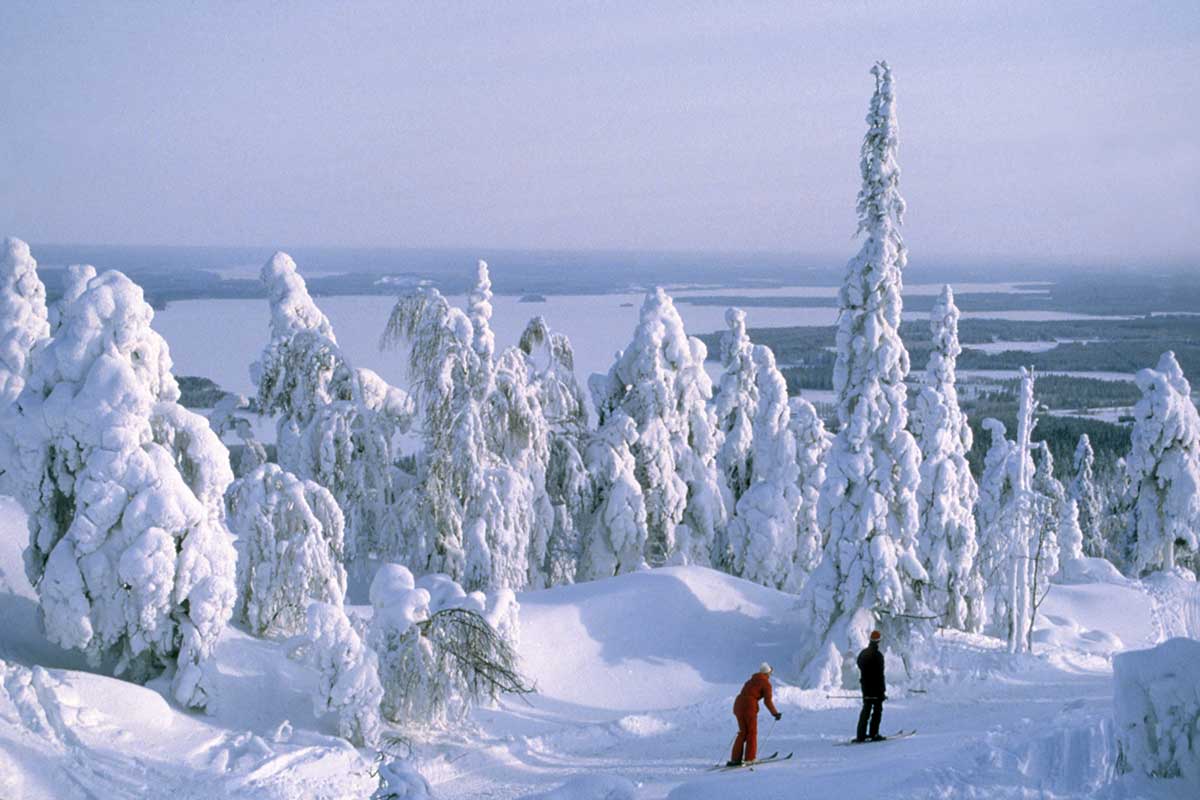 Séjour Laponie - Circuit Laponie, aurores et cap Nord