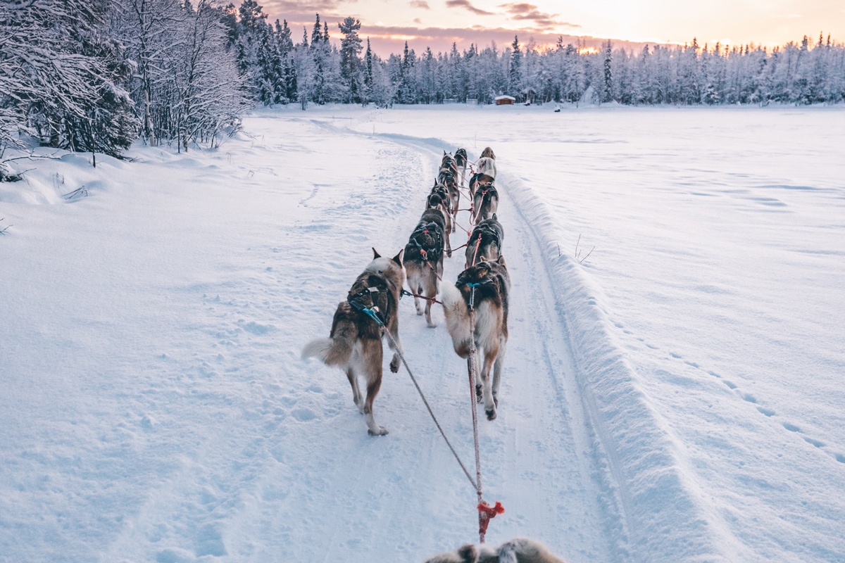 Image 4 du séjour Circuit en étoile Laponie essentielle - Choix Flex à Kittila, Finlande