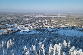 Lévi