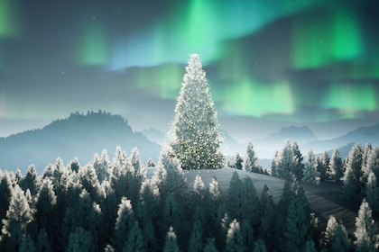 Evènement : Magie de Noël au cercle polaire - TUI