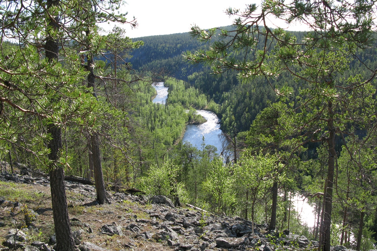 Séjour multi-activités à Savukoski au départ de Ivalo - Choix Flex - 9